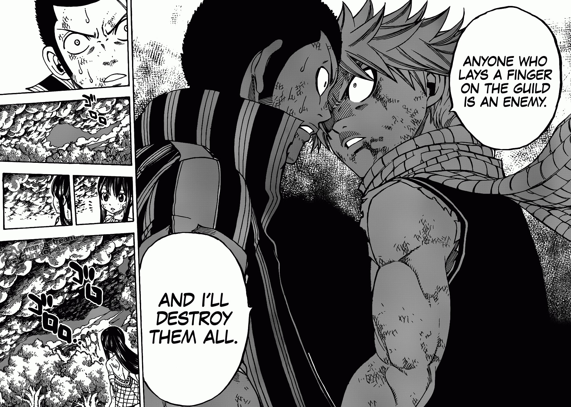 Fairy Tail Chapter 228 25